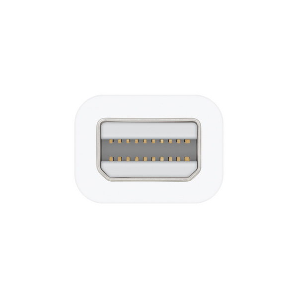 Apple Thunderbolt to FireWire Adapter