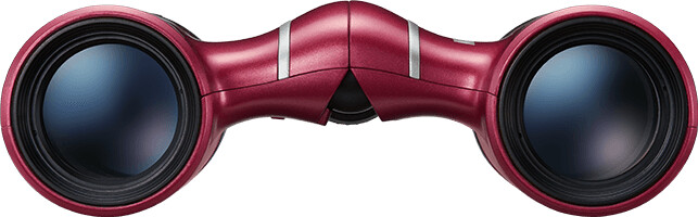 Dylbi Nikon CF Aculon T02 8x21, të kuqe