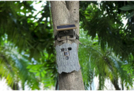 Kamerë fshehtë Stealth Gear Owl Solar 4K Wifi, PIR, kamuflazh gri