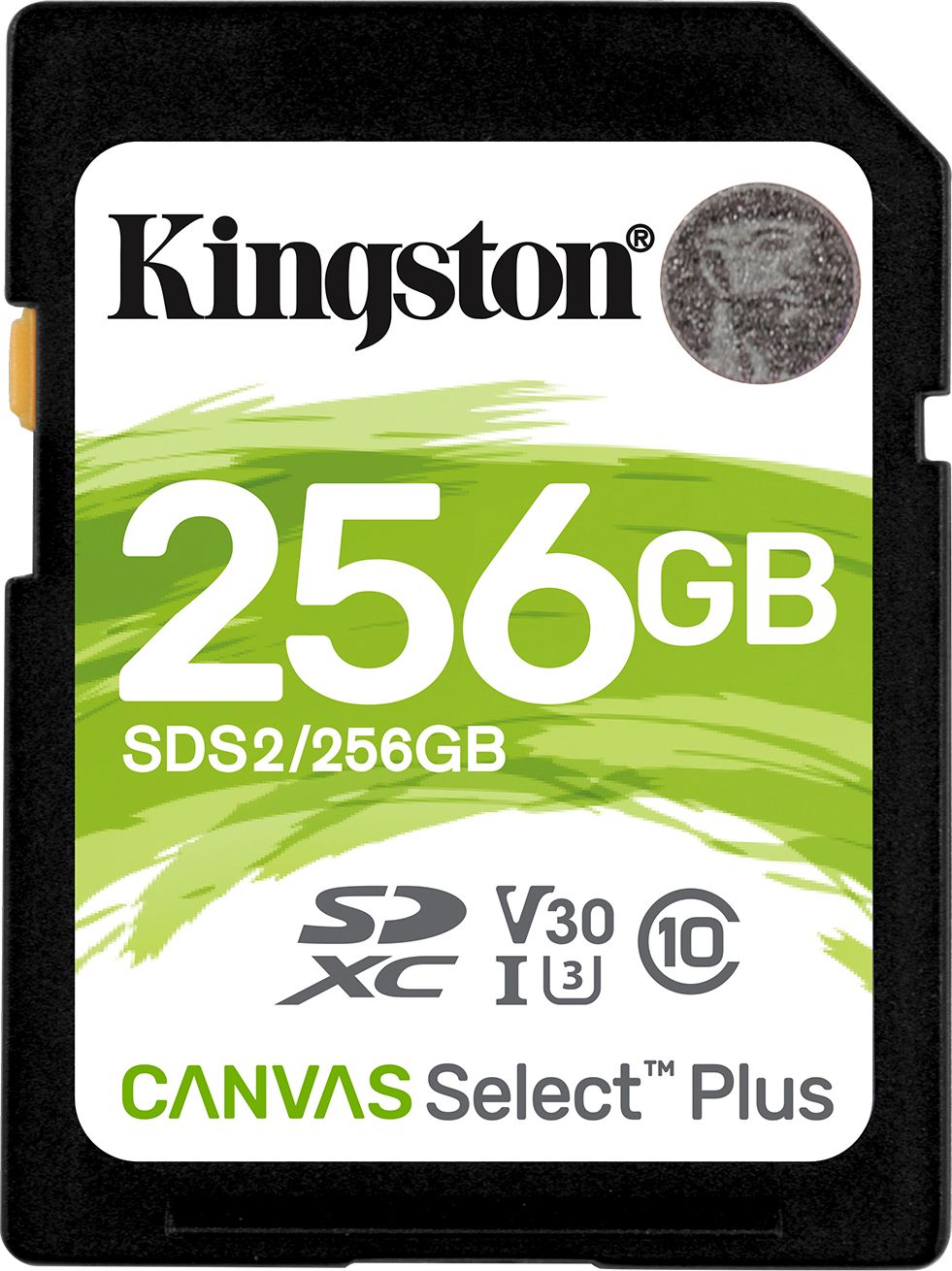 Kartë memorie Kingston Canvas Select Plus, SDXC, 256 GB, Class 10