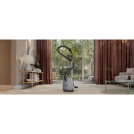 Fshesë me korent Electrolux EB61A5UG, 850W, 3.5L, gri
