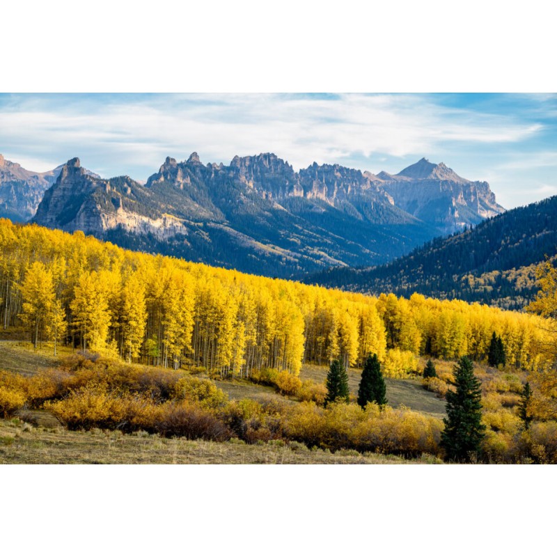 NIKKOR Z 24-200mm F/4-6.3 VR