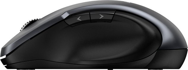 Maus Genius Ergo, wireless, USB, i hirt