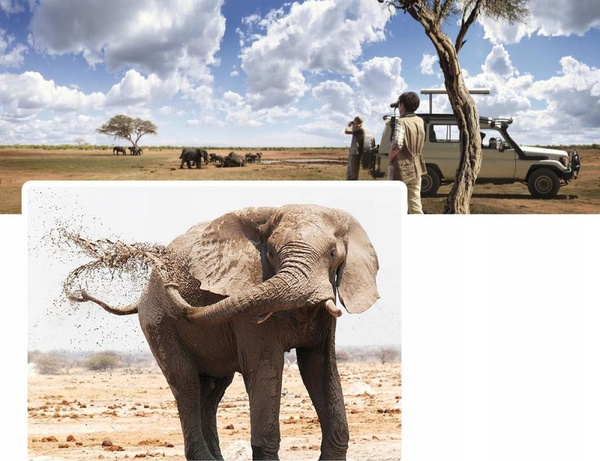 Teleskop K&F Monokular, 12x50mm, I gjelbër