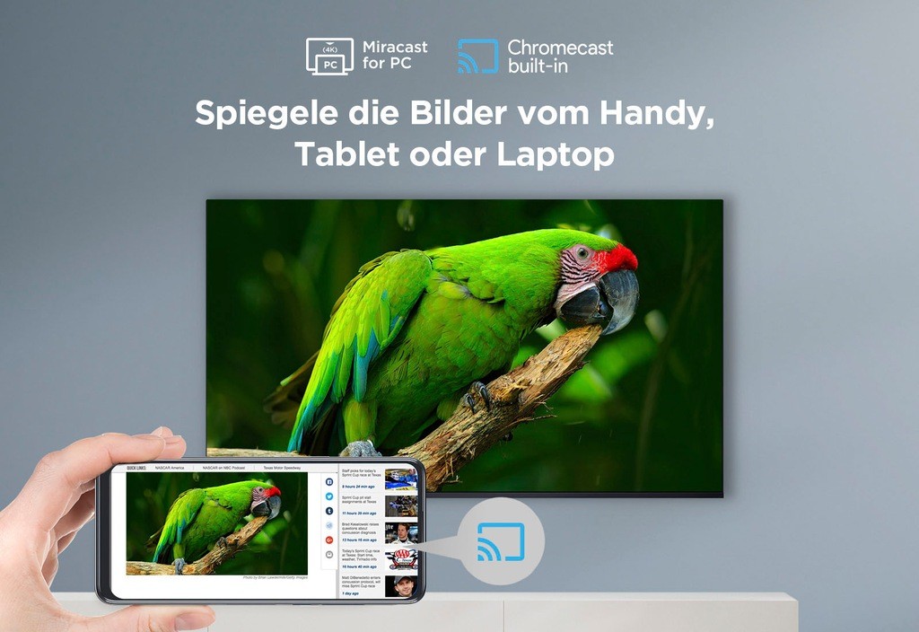 Televizor TCL V6B 75V6B, 75", 4K Ultra HD Smart, titani