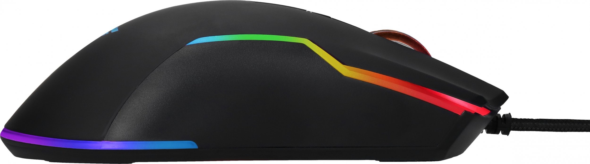 Maus Preyon Condor Classic, i zi