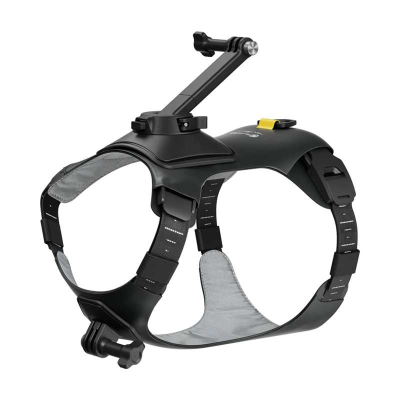Jelek montimi për kafshë Insta360 Pet Harness Mount, madhësia M, i zi