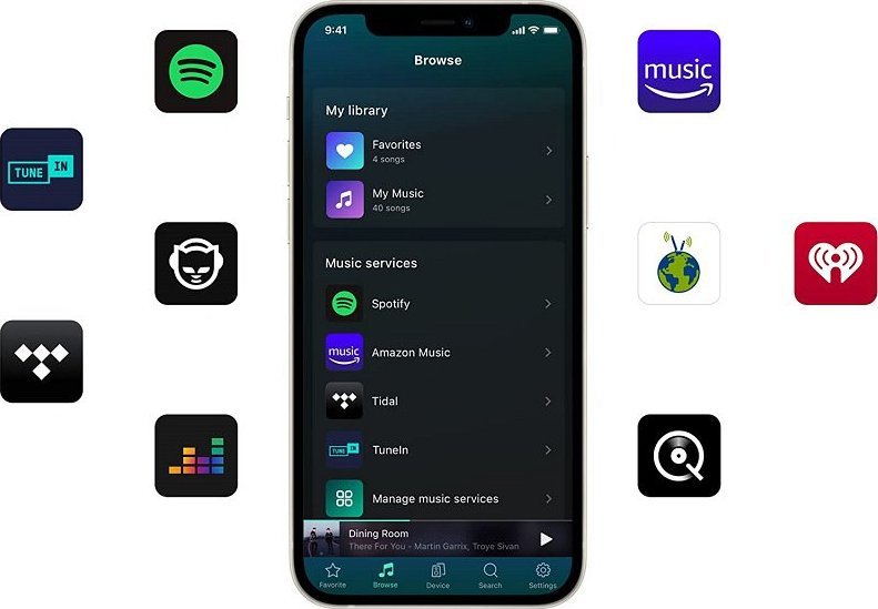 Network player audio WiiM Mini, Hi-Res, WiFi, i zi