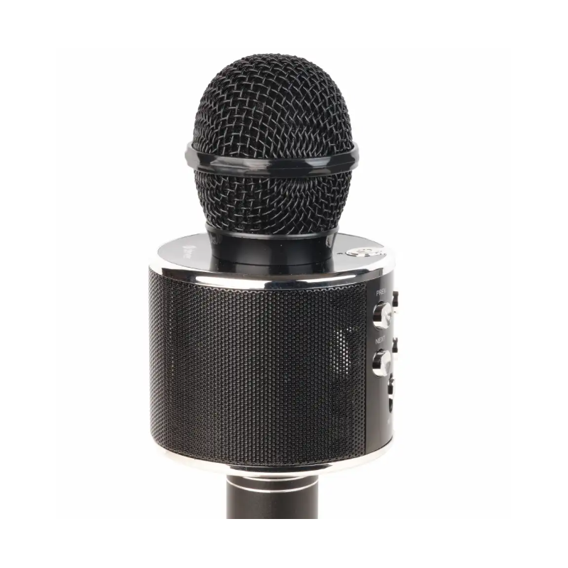 Denver Party Karaoke Mic (Black)