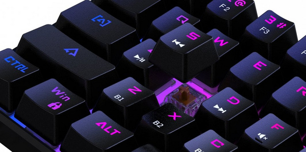 [OUTLET] Tastierë Preyon Brown All Claw Gateron Brown, US