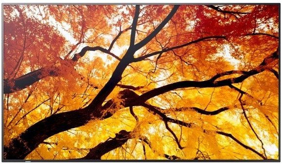 Ekran profesional Sharp MultiSync M552, 55", 4K Ultra HD, i zi