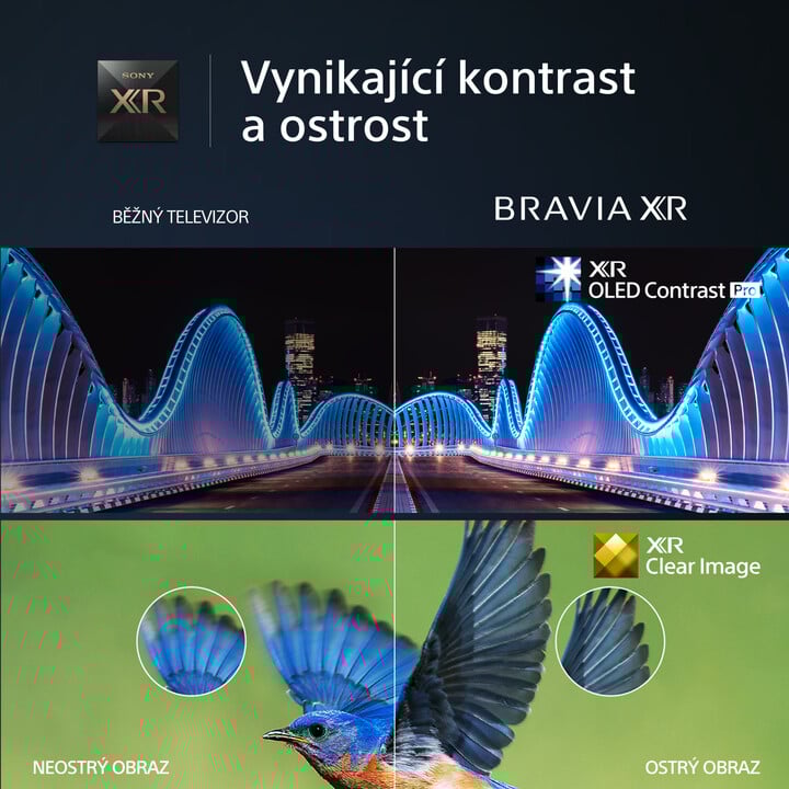 Televizor Sony Bravia XR-77A80L, 77" (195cm), i zi