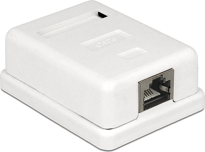 Prizë murale DeLOCK 86169, RJ45, 1 port, e bardhë