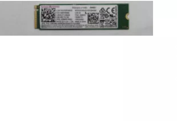 SSD Lenovo M.2 2280, 256GB, PCIe 4.0 NVMe, jeshile