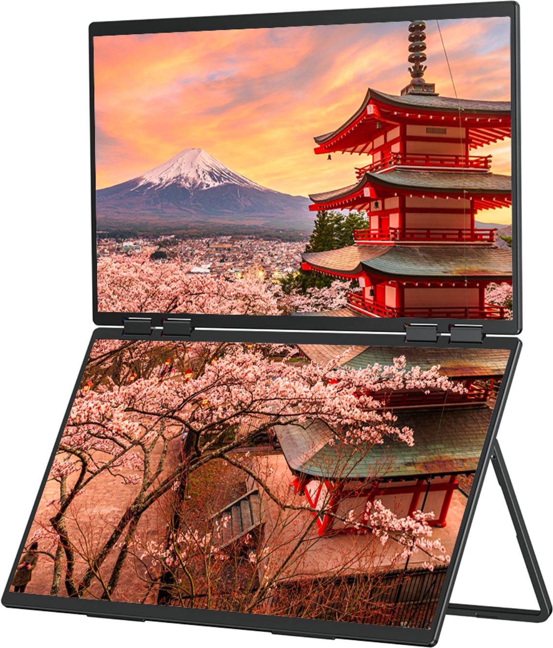 Monitor JapanNext FHD Dual, 23.8", dy ekrane, i zi