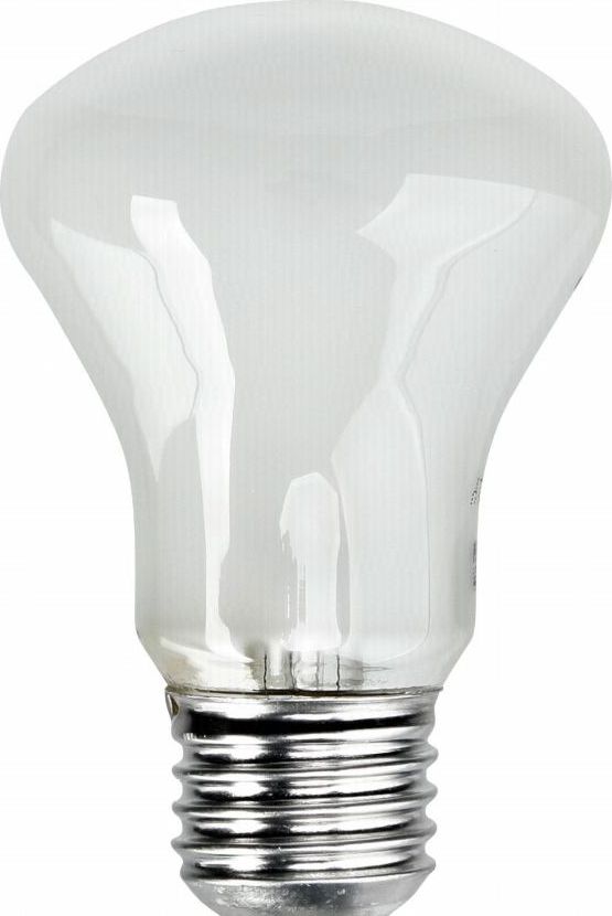 Zarowka E27/196V/100W (23002)