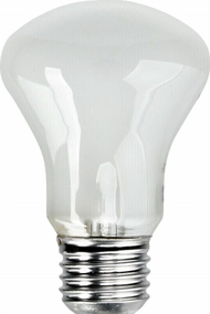 Zarowka E27/196V/100W (23002)