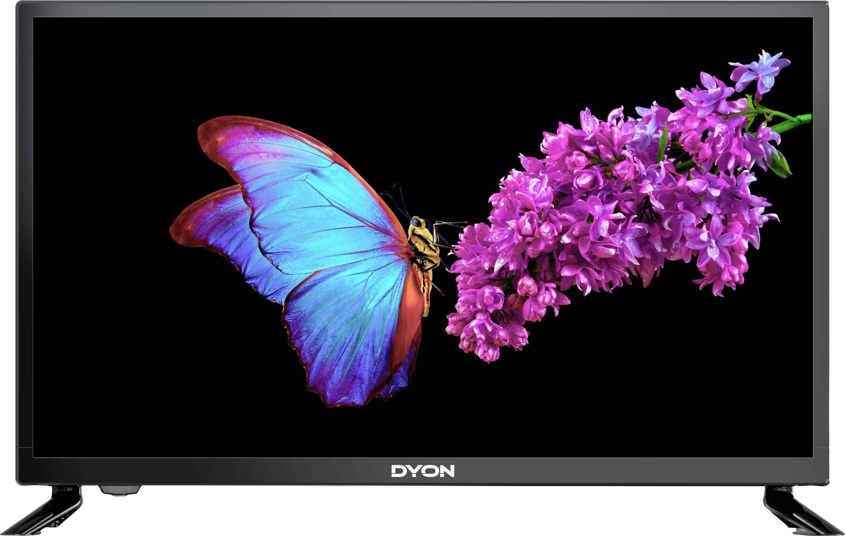 Televizor DYON Enter 24 Pro X2, 24", LED, i zi