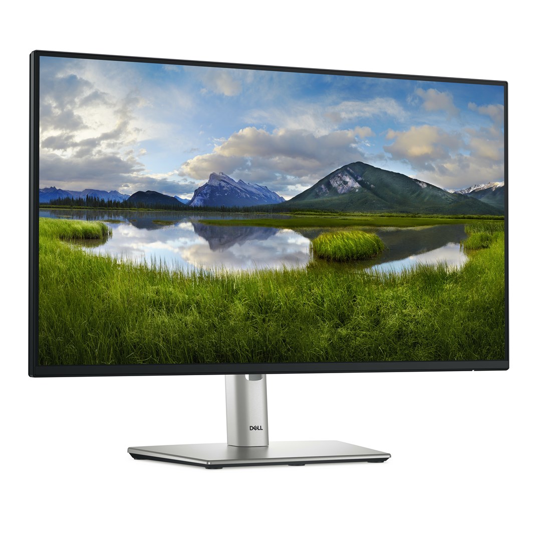 Monitor DELL P2425H, 23.8”, IPS, 100Hz, i zi