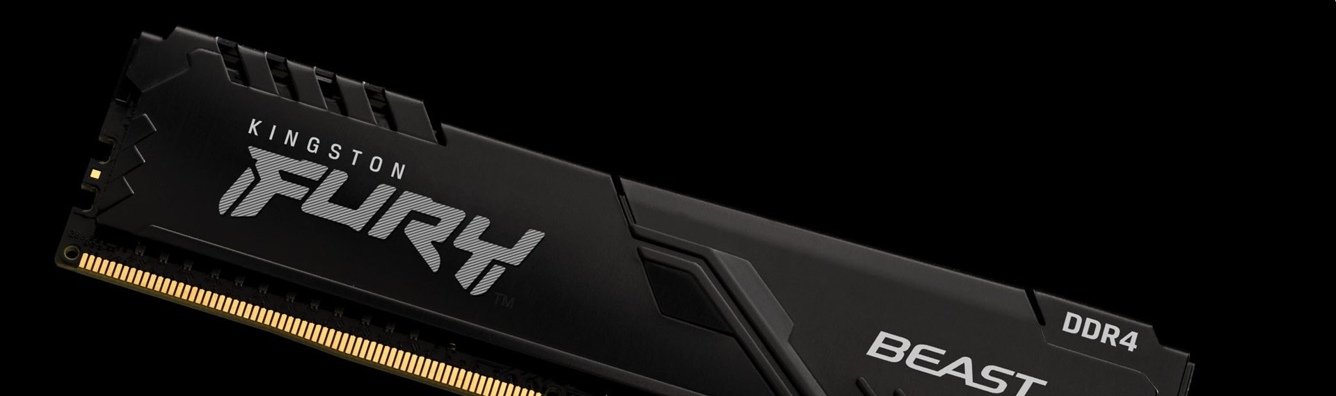 Memorie RAM FURY Beast 16 GB (1 x 16 GB) DDR4 3600 Mhz