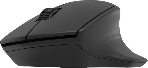 Maus Natec Siskin, wireless, USB, i zi