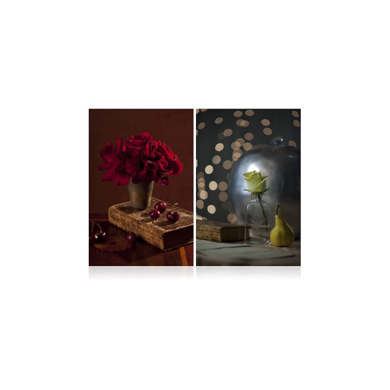 NIKKOR AF-S 85mm f/1.4G